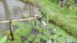 52784F77-9C8E-41FA-A2D1-78118972F05E.jpeg 52784F77-9C8E-41FA-A2D1-78118972F05E.jpeg