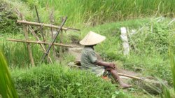 29739096-78FF-43D5-838E-1EC4687036EA.jpeg 29739096-78FF-43D5-838E-1EC4687036EA.jpeg