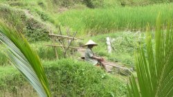 5402BA14-A733-4AAA-87ED-3B7966808DD6.jpeg 5402BA14-A733-4AAA-87ED-3B7966808DD6.jpeg