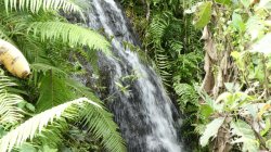 729B7F6C-1650-489C-81A9-16618D765A52.jpeg 729B7F6C-1650-489C-81A9-16618D765A52.jpeg