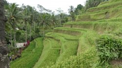 D8EF90ED-7FD0-4E83-8BE1-99AF6546E9EC.jpeg D8EF90ED-7FD0-4E83-8BE1-99AF6546E9EC.jpeg