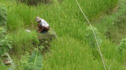 E9EE64B6-3F51-4FDD-9984-003C382A808E.jpeg E9EE64B6-3F51-4FDD-9984-003C382A808E.jpeg