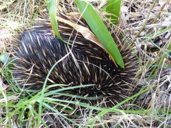 P1020133.JPG P1020133.JPG