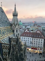 IMG_9850.JPG IMG_9850.JPG