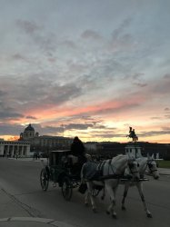 IMG_0109.JPG IMG_0109.JPG