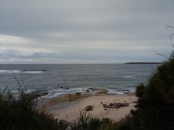 IMAG0417.jpg IMAG0417.jpg