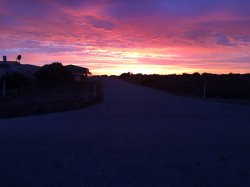 IMG_3231.JPG IMG_3231.JPG