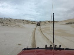 IMG_3316.JPG IMG_3316.JPG