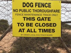 IMG_3303.JPG IMG_3303.JPG