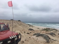 IMG_3257.JPG IMG_3257.JPG