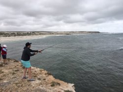 IMG_3294.JPG IMG_3294.JPG