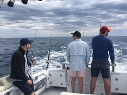 IMG_3233.JPG IMG_3233.JPG