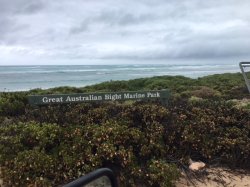 IMG_3311.JPG IMG_3311.JPG