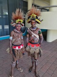 POM INT.jpg POM INT.jpg