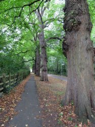 IMG_8211.jpg IMG_8211.jpg