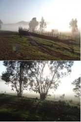 Ramble5 snip3.JPG Ramble5 snip3.JPG