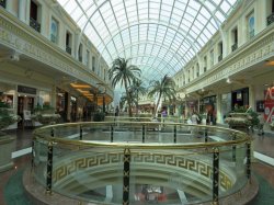 IMG_8231.jpg IMG_8231.jpg