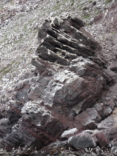 41662409252_fce9176e04_n.jpg