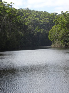 38953440670_f7a539115b_n.jpg