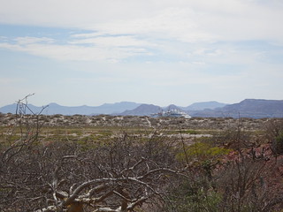 27138385097_76d44ae297_n.jpg