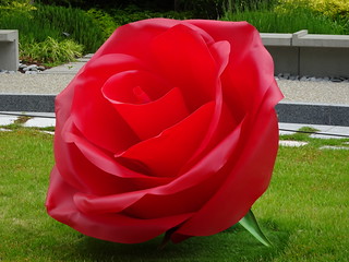 41655081105_1e609d27fe_n.jpg