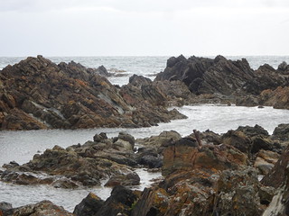 38953452530_9387f96f31_n.jpg