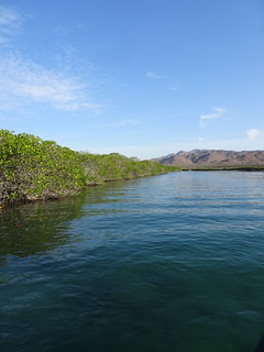 41151840335_ab77a93d5c_n.jpg