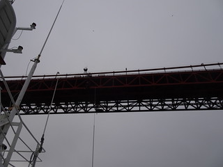 27462586887_57649130d6_n.jpg