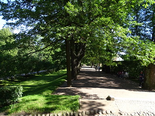 29130942222_55feaa7119_n.jpg