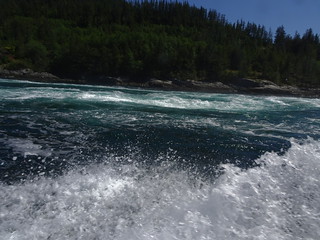 41812340004_54df6789dc_n.jpg