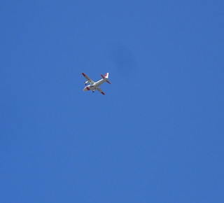 41566163154_179d9026bb_n.jpg