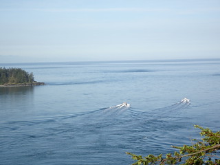 27562101637_415f8dd657_n.jpg