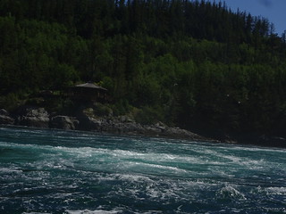 41812340944_90e89b4db7_n.jpg