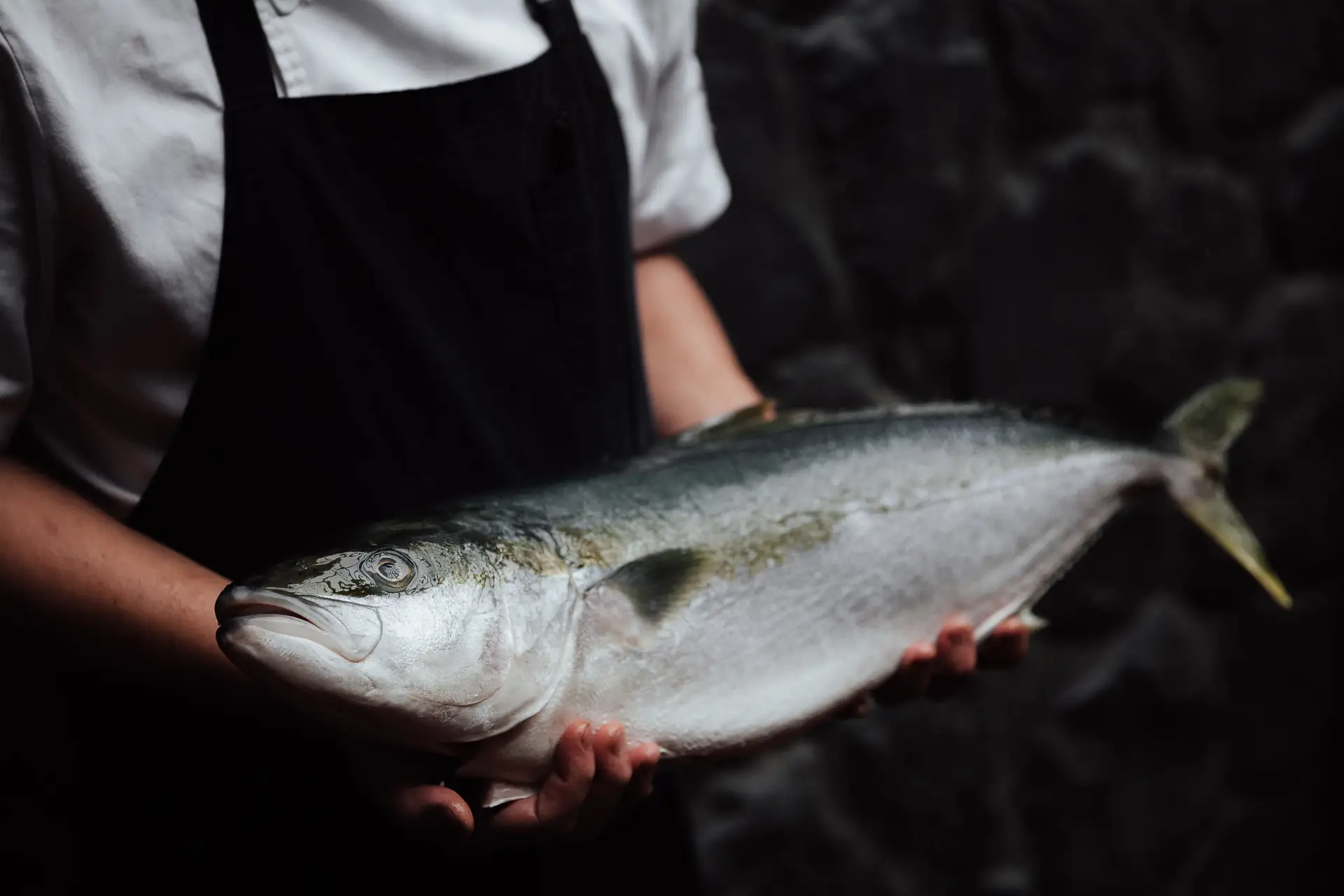 theboathouse.restaurant