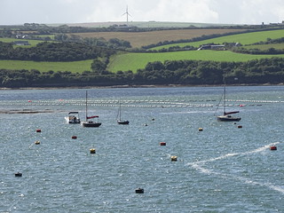 29616166845_d71ef7d688_n.jpg