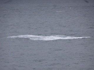 41429880565_9f729d9ed0_n.jpg