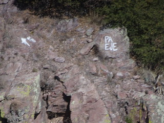 41164494015_d99839105d_n.jpg[