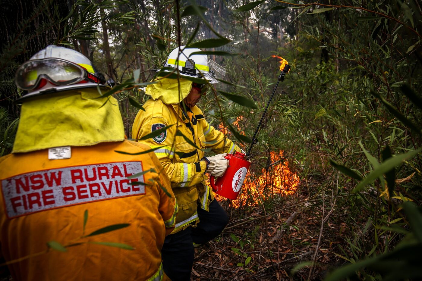 Back Burning Operations On The Outskirts of Sydney As The City's Wildfire Smoke Declared a 'Public Health Emergency''s Wildfire Smoke Declared a 'Public Health Emergency'