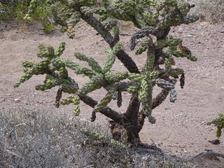 41963674772_3f60199cd0_n.jpg