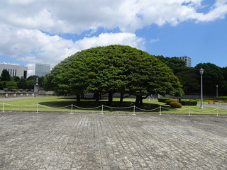 28682864438_0779f13040_n.jpg