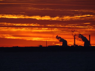 29020834430_0954c7a28f_n.jpg