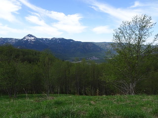 28491504318_1d8f6bc86c_n.jpg[