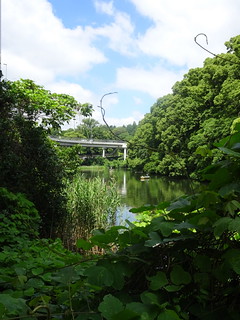 27686500027_cc6ce25f7d_n.jpg