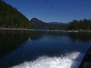 41632983475_10b719e76a_n.jpg