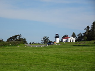41708719634_b57d72d316_n.jpg