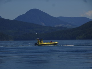 41632967455_86208e73b1_n.jpg