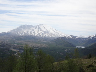28491644508_631781c75c_n.jpg