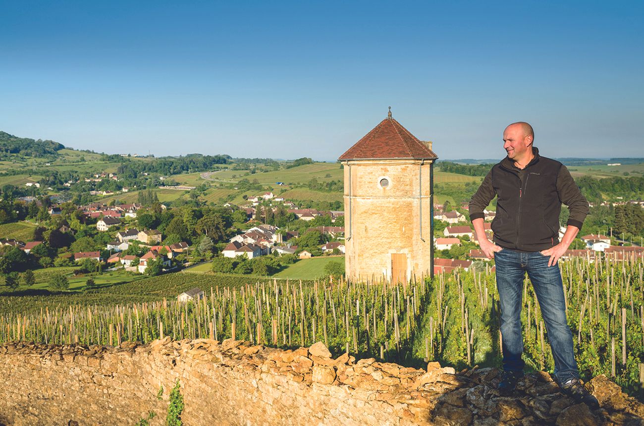 www.decanter.com