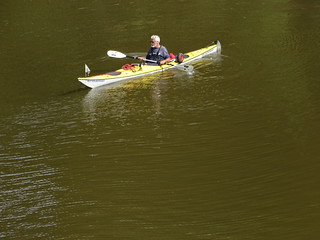 29424676551_cf9d776311_n.jpg