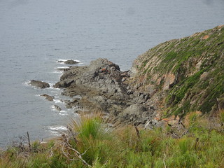 39879003524_34b81df062_n.jpg